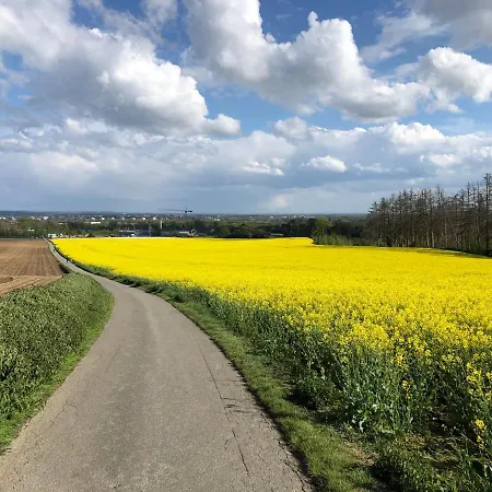 Modernes In Schoener Lage Appartement Düsseldorf
