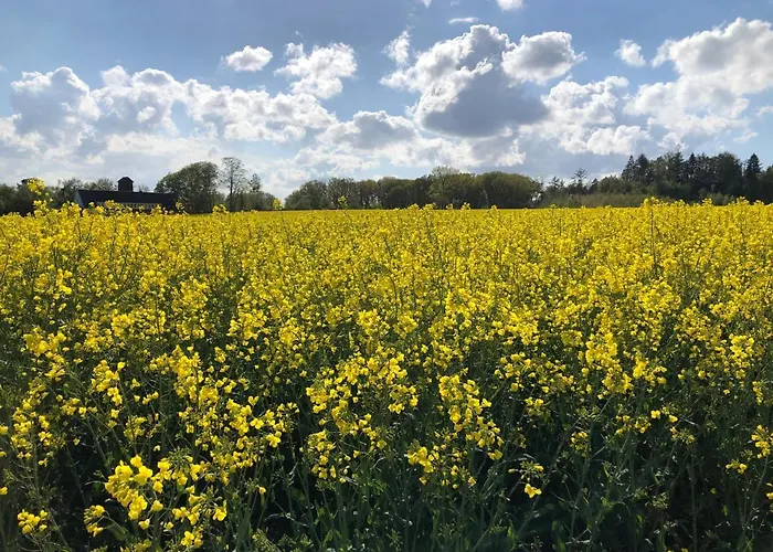 Modernes In Schoener Lage Lägenhet Düsseldorf