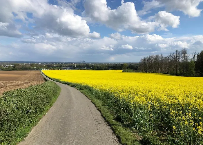 Modernes In Schoener Lage Appartamento Düsseldorf
