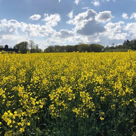 Modernes In Schoener Lage Apartament Düsseldorf